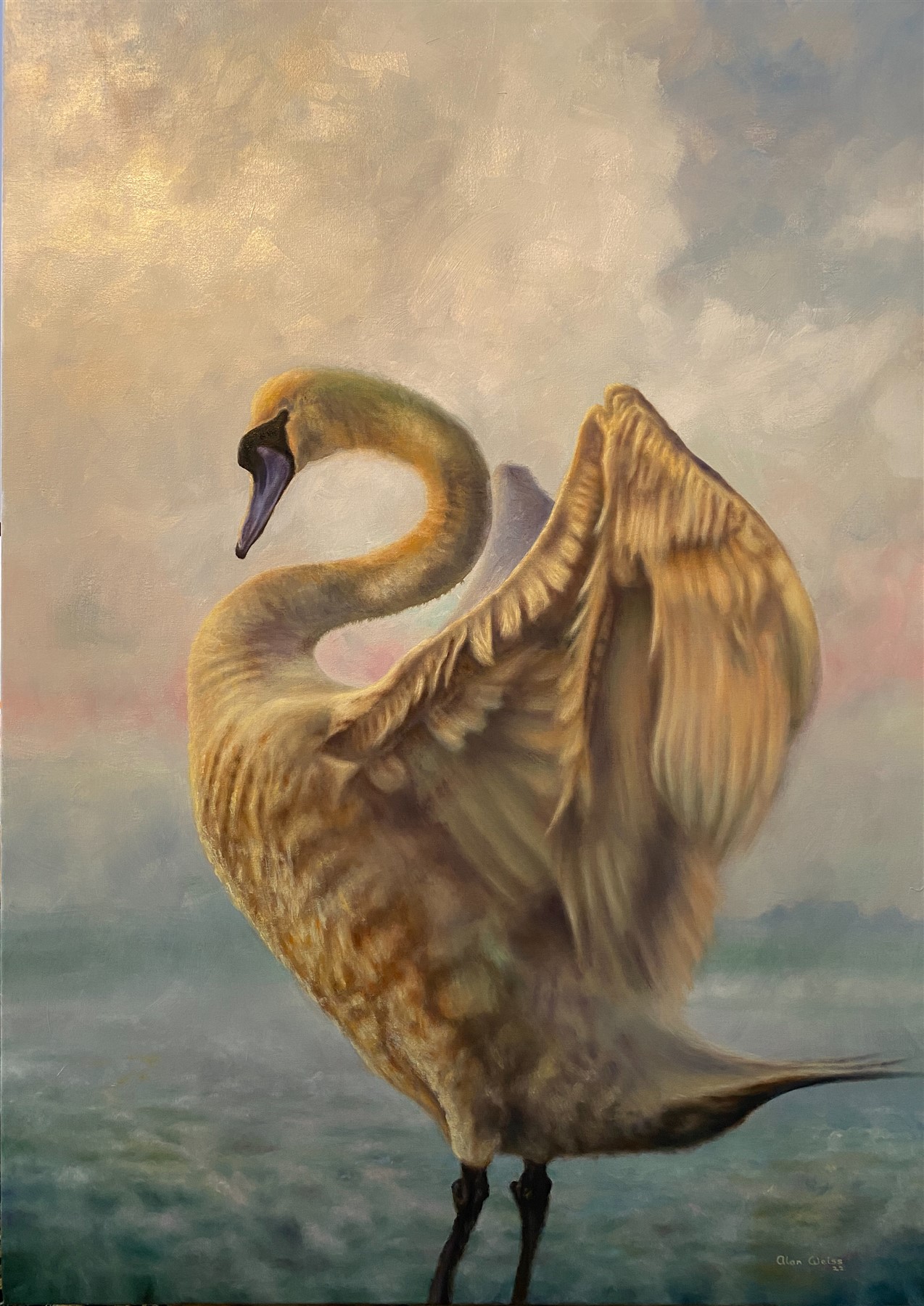 Swan (1274 x 1800)